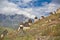 Dead town Dargavs in North Ossetia