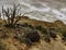 Dead tree and black boulders on the Hickman Bridge Hiking Trail in Capitol Reef National Park