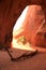 Dead tree branch in a private arch in arches national park, Utah, USA, United states