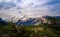 Dead tree in  El Chalten national park