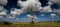 Dead Tree in the grasslands