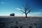 a dead tree in the middle of a barren field