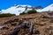 Dead tree on the mountain ridge in Lassen Volcanic Park.