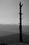 Dead tree on moutain / Stands like a Totem / Black and White / BW / Monochrome shot / Vertical framed