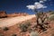 Dead tree and Rocks, Arches National Park, USA