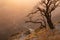 Dead tree silhouette in golden sunlight and soft haze on sunset on steep slope with thin blue river, trail, high view in precipice