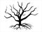 Dead tree silhouette vector art white background