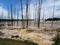 Dead tree skeletons in colored hydrothermal spring with white socks at base