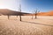 The dead tree skeletons surrounded by desert sand dunes in the clay pan of Deadvlei in Sossusvlei, Namibia.