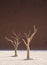 The dead tree skeletons surrounded by desert sand dunes in the clay pan of Deadvlei in Sossusvlei, Namibia.