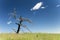 Dead tree snag grass ridge blue sky