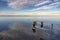 Dead tree stumps In the water