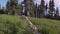 dead tree trunk laying down in tall grass