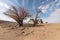 Dead trees and abandoned farmhouse in arid barren landscape, desrtification concept. Generative AI illustration