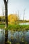 Dead trees in Arcot Pond.