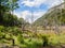 Dead trees caused by beavers in Tierra del Fuego National Park