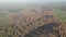 Dead trees after fire. Burnt pine forest and forest