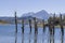 Dead trees in Lago di Campostosto