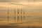 Dead trees on Lake Epecuen. The sky and water merge on the horizon. Branches without leaves on trees submerged in water