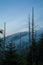 Dead Trees, Morning, Clingmans Dome, Smokies