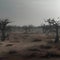 Dead trees in the savannah