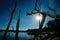 Dead trees on shoreline reservoir