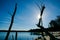 Dead trees on shoreline reservoir