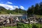 Dead trees by the Skagit river in washington