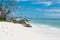 Dead trees in the surf on La Digue beach.