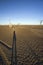 Dead trees at the wasteland of Lake Argyle during sunset with blue sky as background - outback in Australia