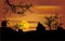 Dead trees and windmill at sunset