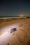 Dead turtle on beach at night, Oman
