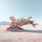 Dead twisted bleached driftwood