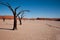 Dead vlei, the dead valley in sossusvlei, Namibia