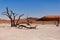 Dead vlei, the dead valley in sossusvlei, Namibia