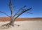 Dead Vlei salt pan - Namibia