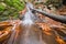 Dead wood in small waterfall in creek in Turovska roklina gorge during autumn in Kremnicke vrchy mountains