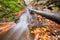 Dead wood in small waterfall in creek in Turovska roklina gorge during autumn in Kremnicke vrchy mountains