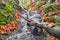 Dead wood in small waterfall in creek in Turovska roklina gorge during autumn in Kremnicke vrchy mountains