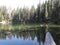 The Dead-woods in The Zminje Lake,The Durmitor National Park