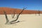 Deadvlei in de Namib Desert in Namibia