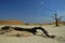 Deadvlei (Namib desert)