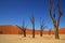 Deadvlei Namib-Naukluft National Park Namibia