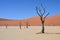 Deadvlei Namibia