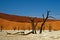 Deadvlei Namibia dead trees