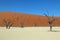 Deadvlei in Naukluft Park in de Namib Desert in Namibia