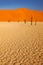 Deadvlei, orange dune with old acacia tree. African landscape from Sossusvlei, Namib desert, Namibia, Southern Africa. Red sand,