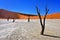 Deadvlei, Sossusvlei. Namibia