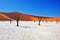 Deadvlei, Sossusvlei. Namibia