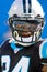 DeAngelo Williams Carolina Panthers